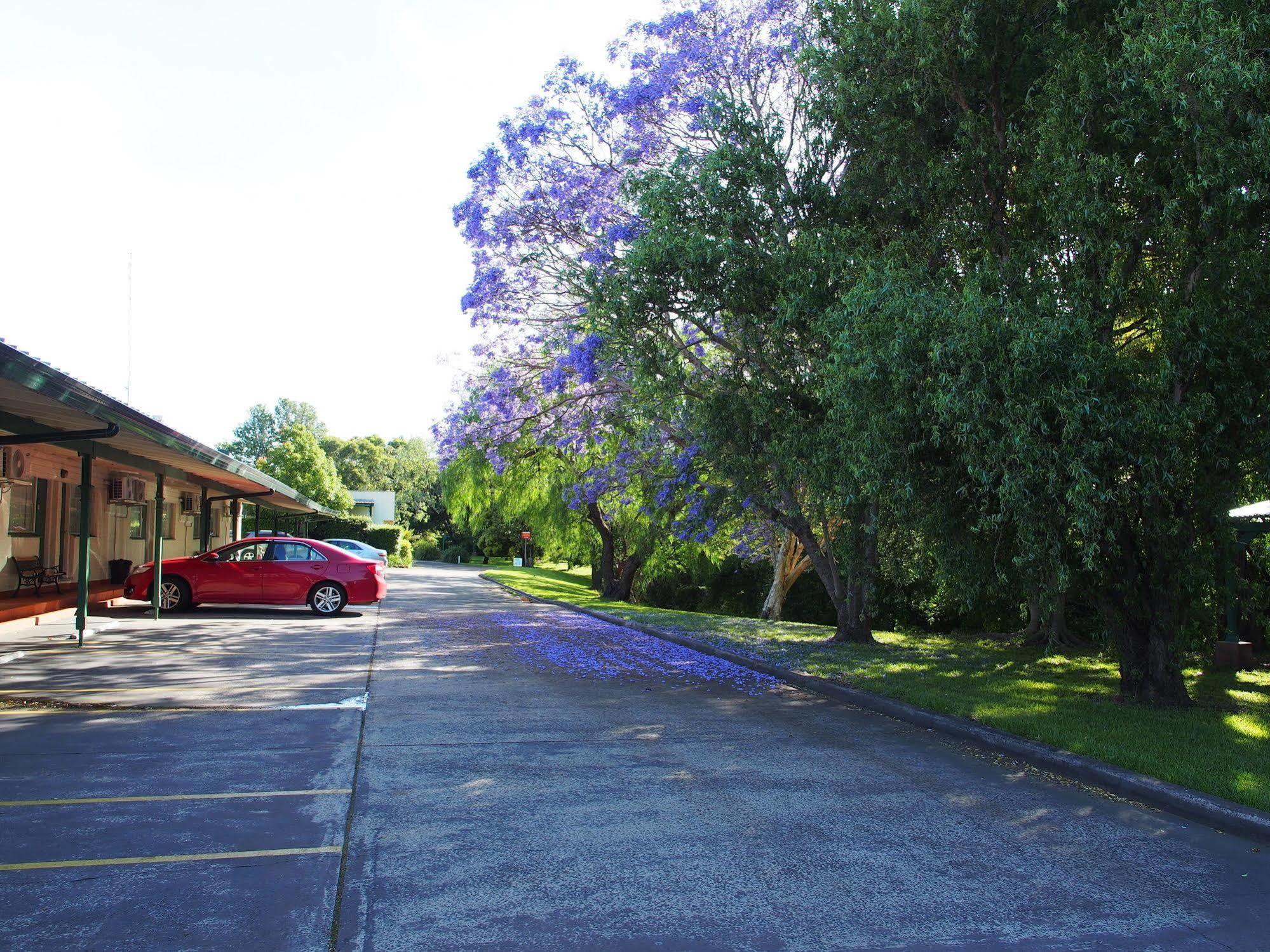 Solomon Inn Motel Figtree Wollongong Kültér fotó
